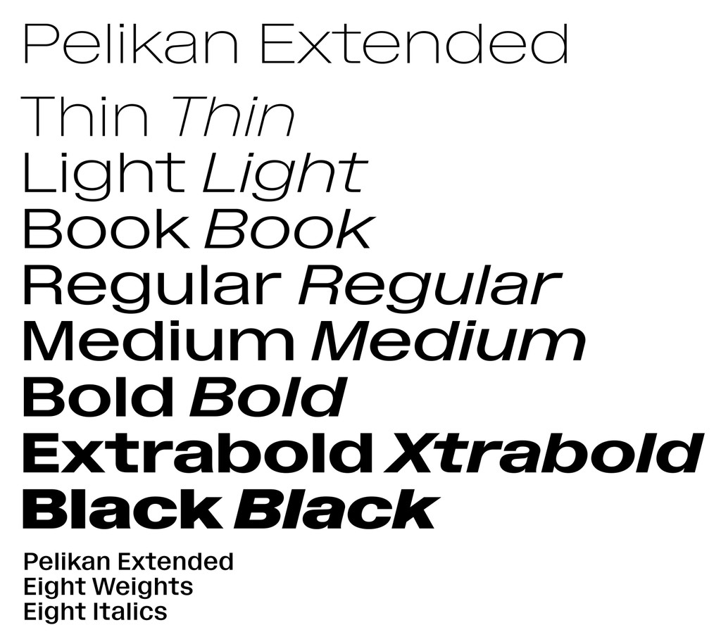 Dinamo Typeface Pelikan Expanded Weights Italics Square