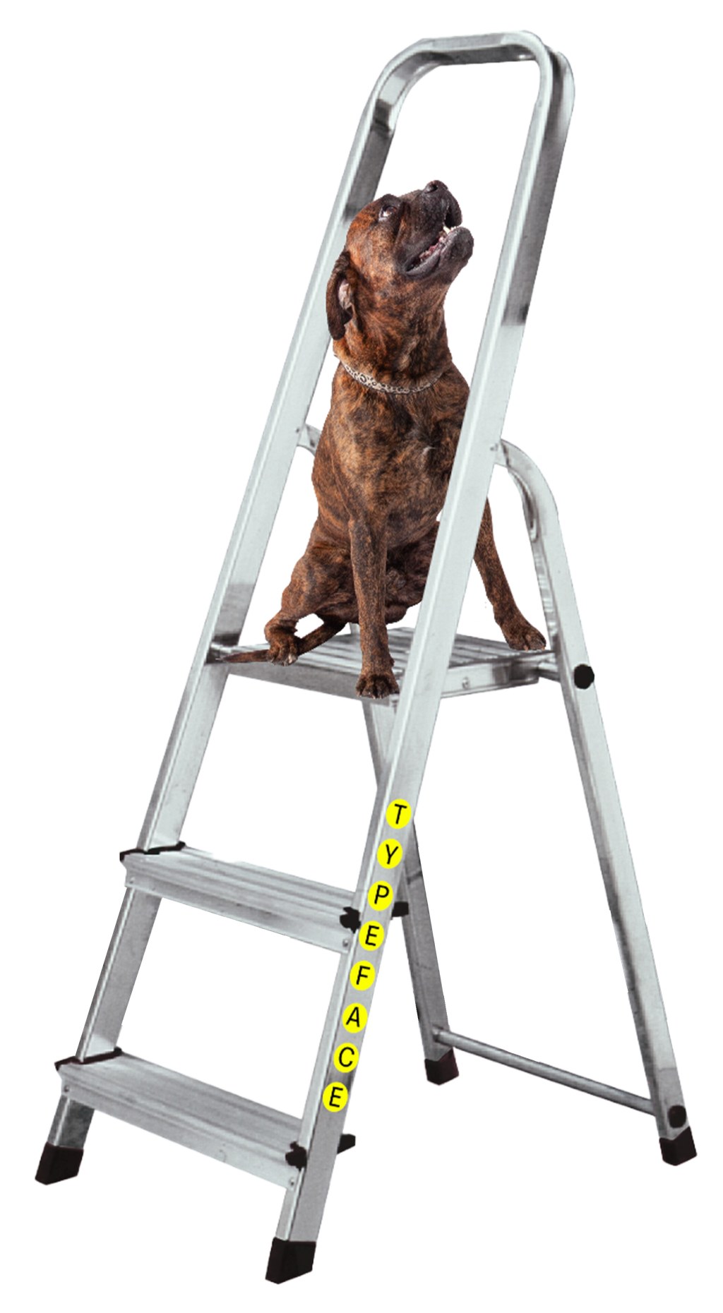 Dinamo Typrface Pelikan Dog Sticker