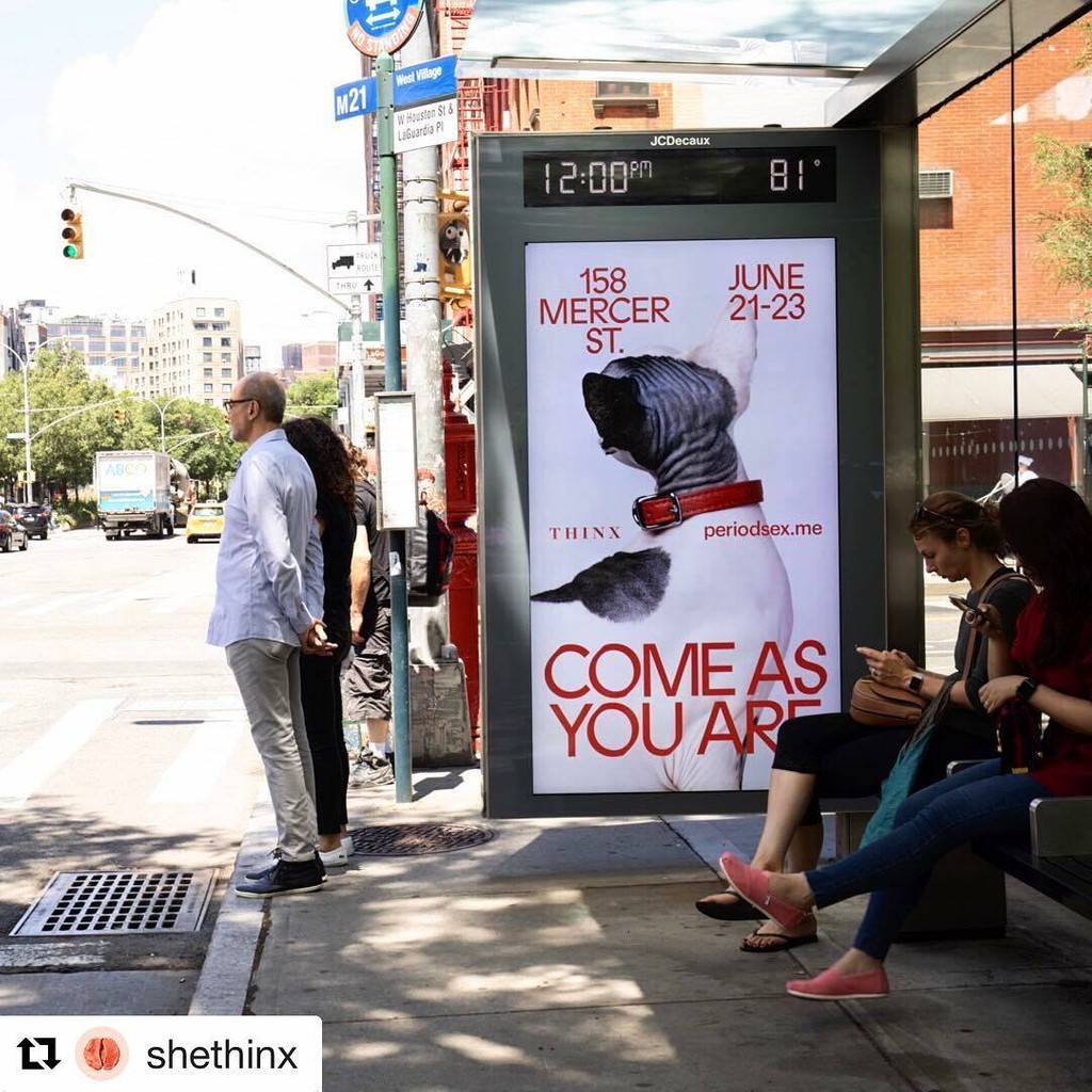 Dinamo font Prophet 35617753 1753753871374336 6253561194309746688 n