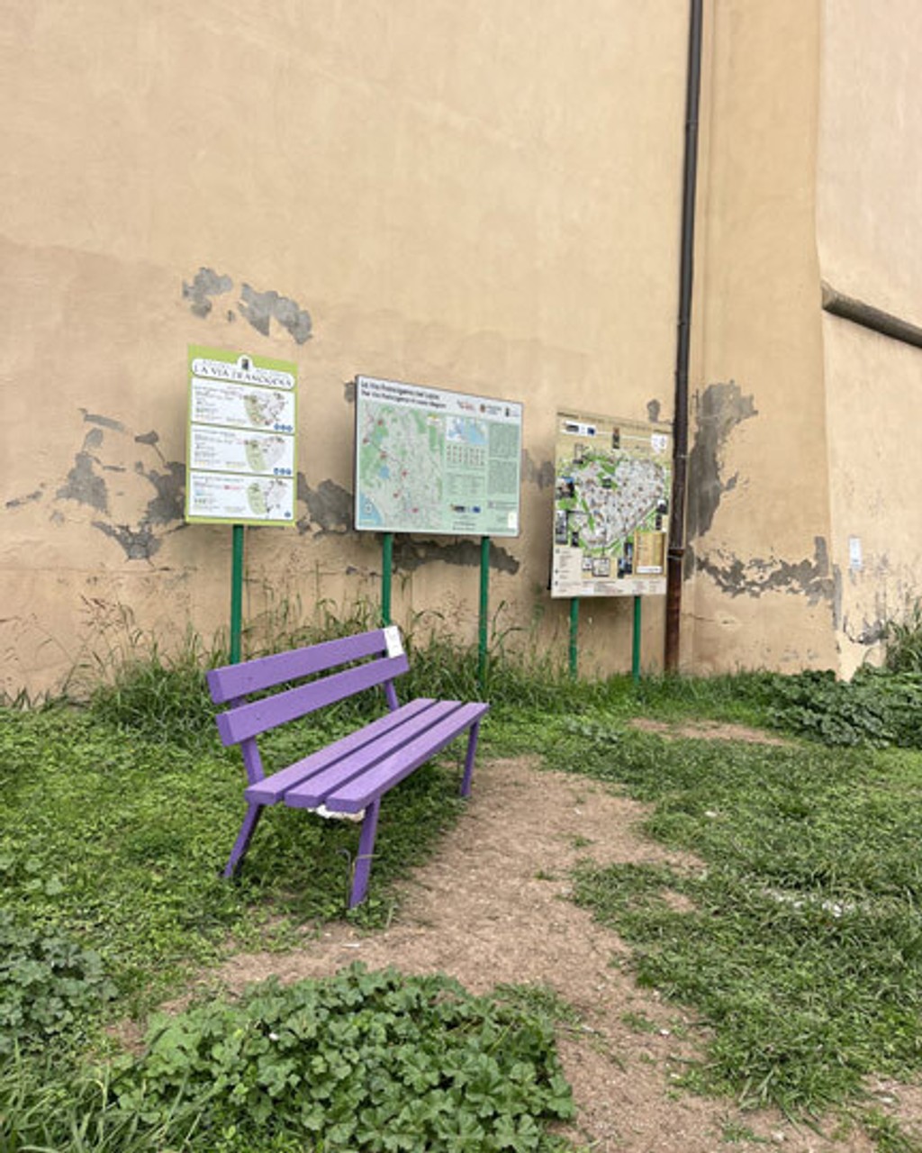 Dinamo Schengen Contributors Emma Capps s