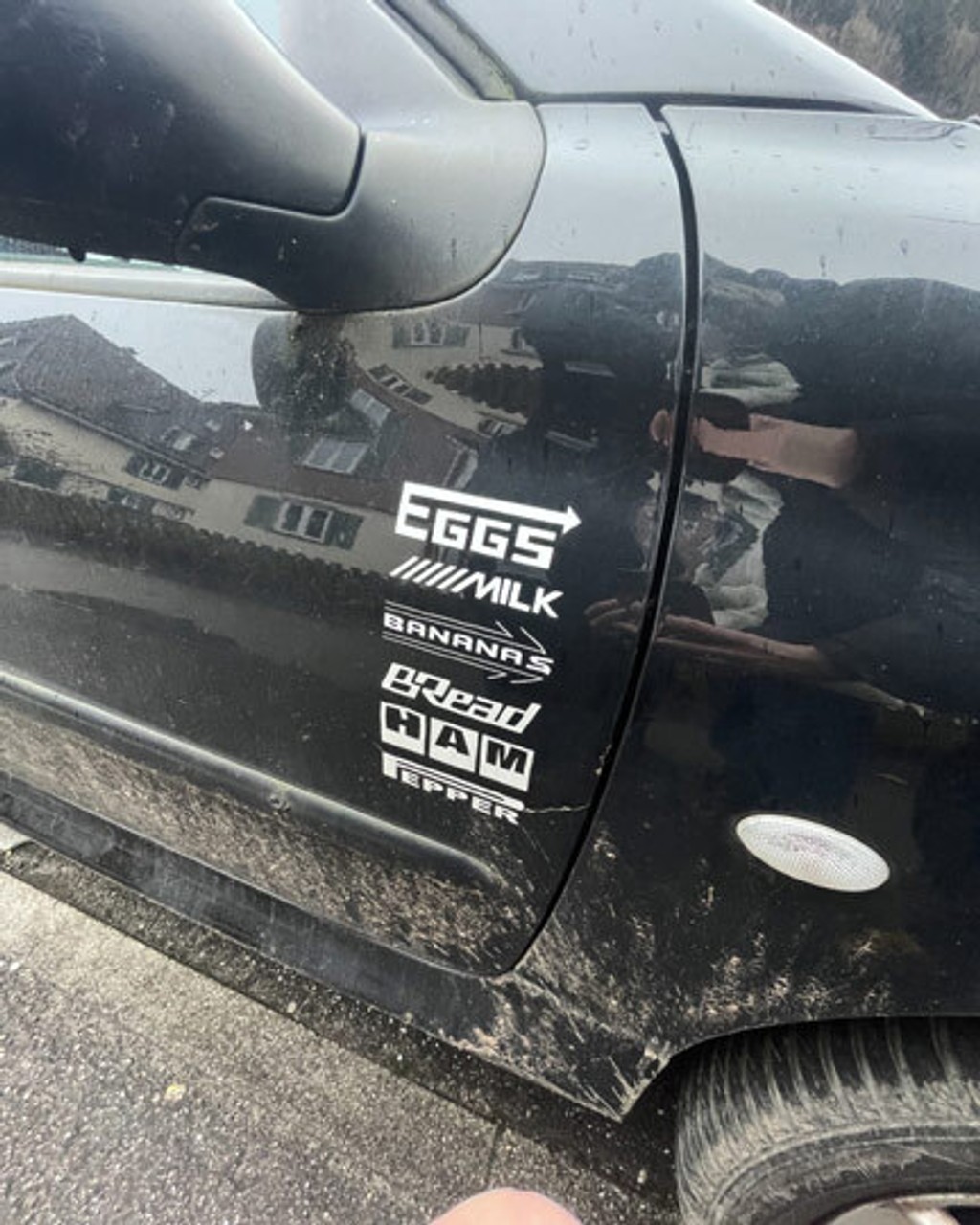 Dinamo Campaign Placeholder Contributors Mimi Schmid