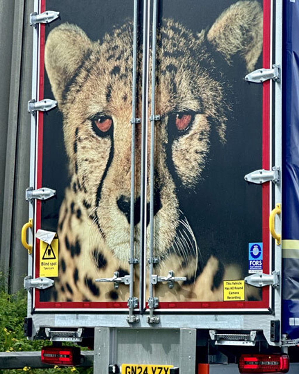 Dinamo Schengen Contributors Seb Mc Lauchlan s