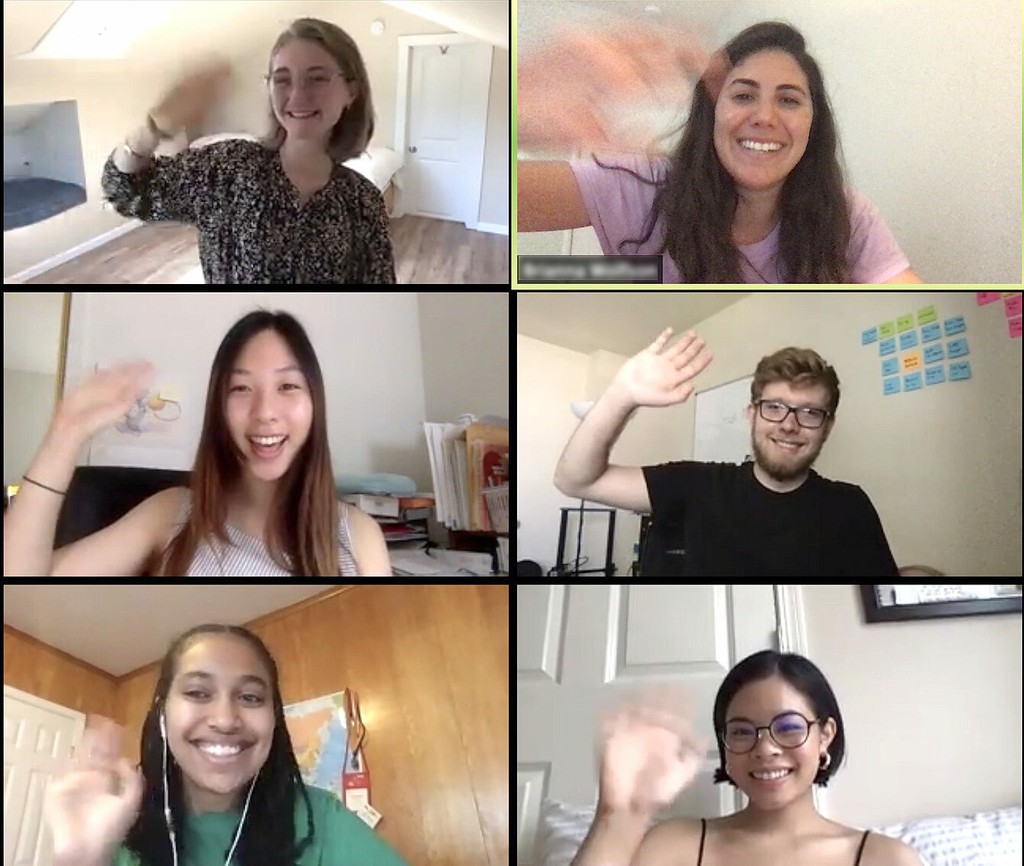 Dinamo Whyte Figma zoomteamcall